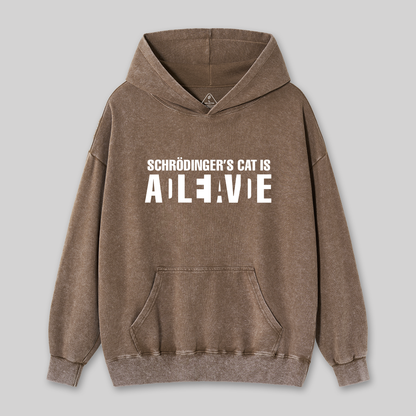 Schr?dinger's Cat ADLEIAVDE Geek Science Washed Hoodie