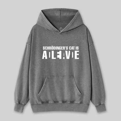 Schr?dinger's Cat ADLEIAVDE Geek Science Washed Hoodie