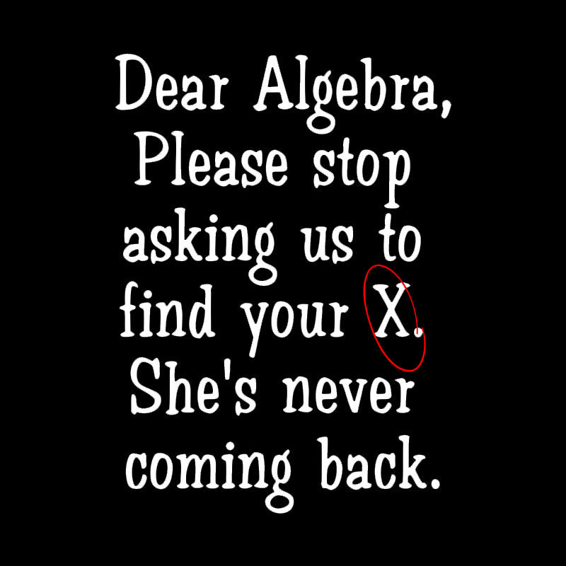 Dear Algebra Geek T-Shirt