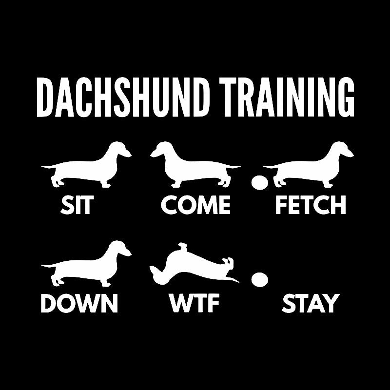 Dachshund Training Dachshund Dog Geek T-Shirt