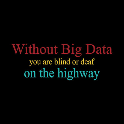 Without Big Data You Are Blind Or Deaf On The Highway Geek T-Shirt