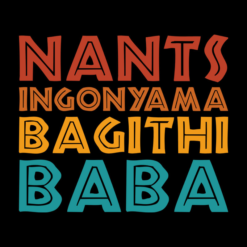 Nants ingonyama Bagithi Baba Geek T-Shirt