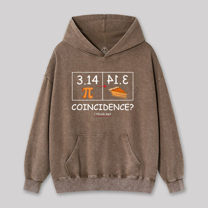 Pi Pie Math Professor Washed Hoodie