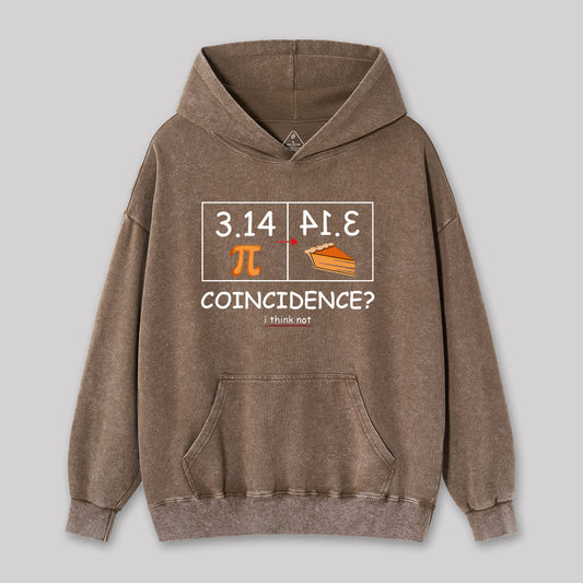 Pi Pie Math Professor Washed Hoodie