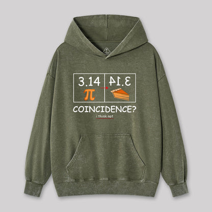 Pi Pie Math Professor Washed Hoodie