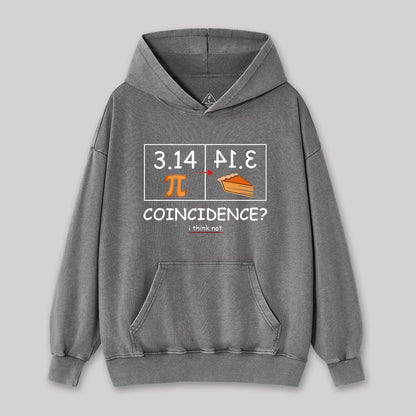 Pi Pie Math Professor Washed Hoodie