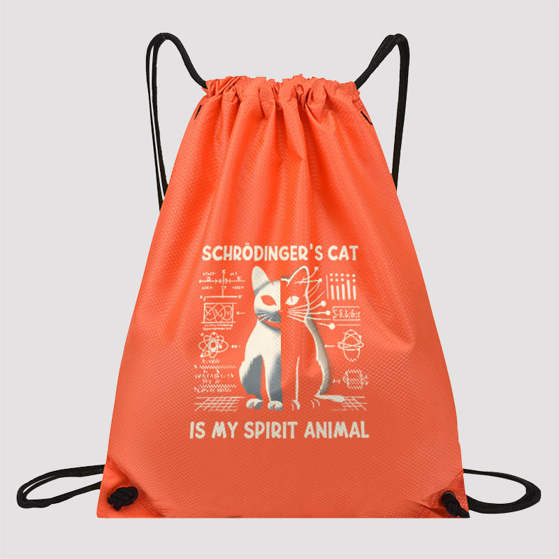 Schrodinger's Сat Science Drawstring Cinch Bag