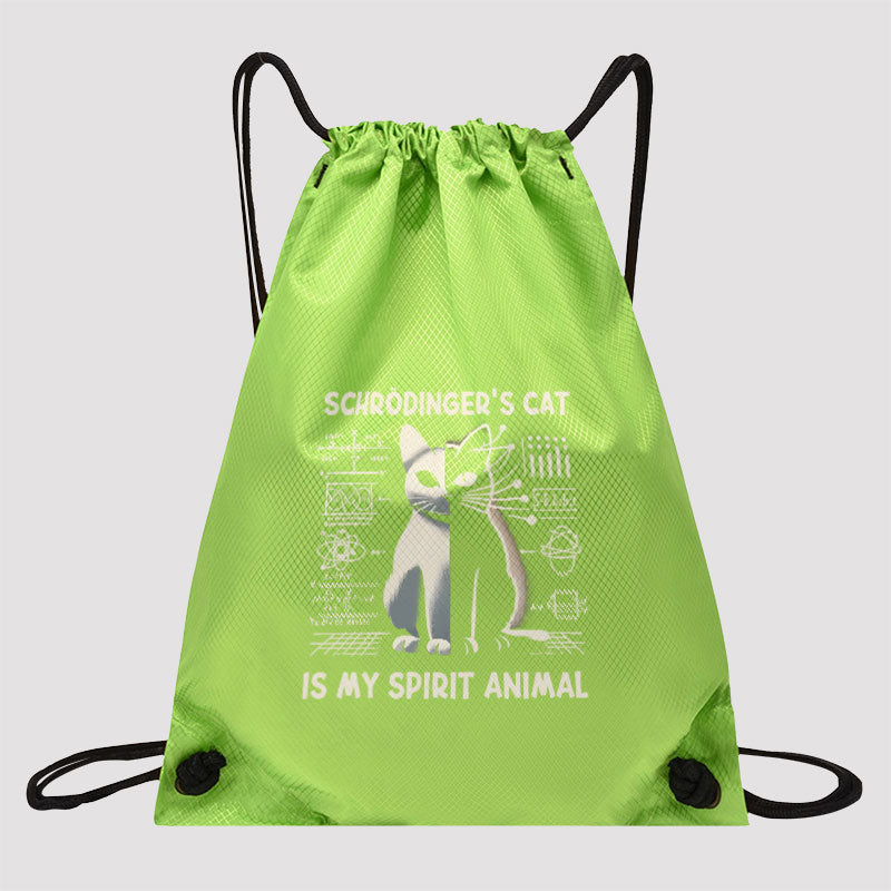 Schrodinger's Сat Science Drawstring Cinch Bag