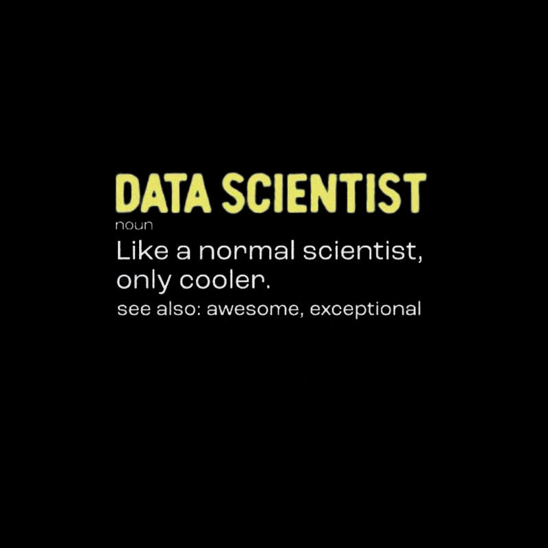 Data Scientist T-Shirt