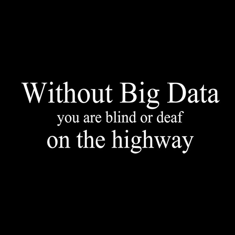 Without Big Data You are What T-Shirt