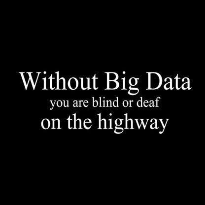 Without Big Data You are What T-Shirt