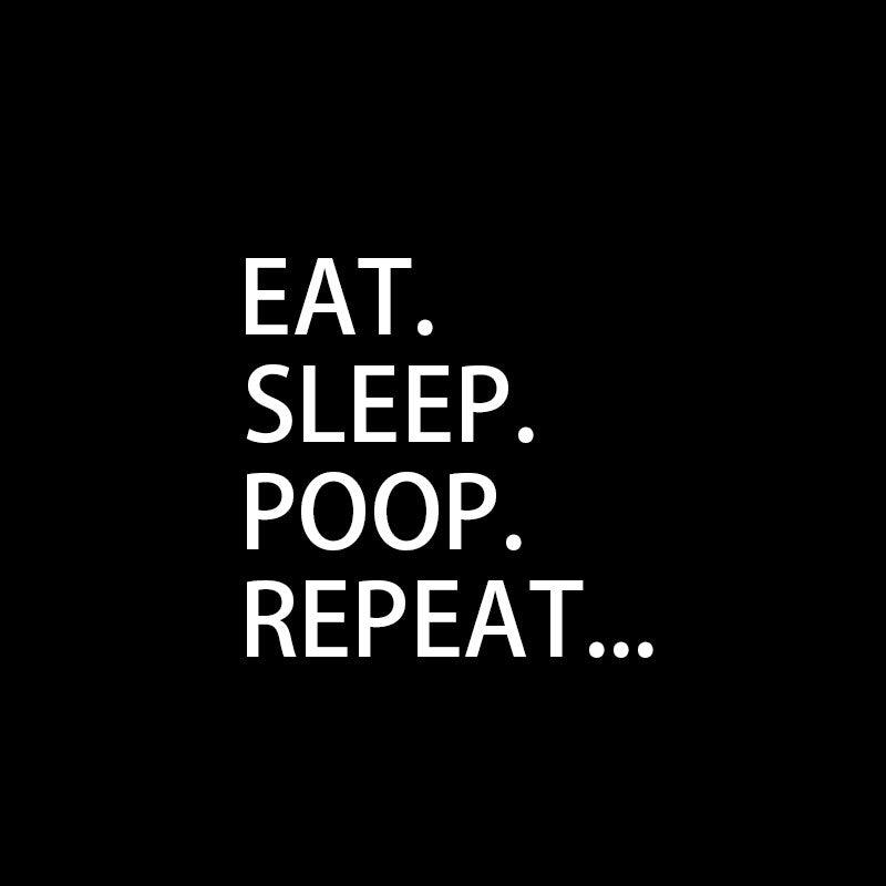 Eat. Sleep. Poop. Repeat T-Shirt