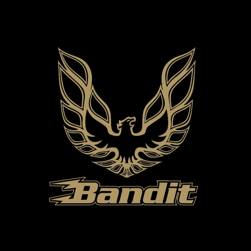 The Bandit T-Shirt