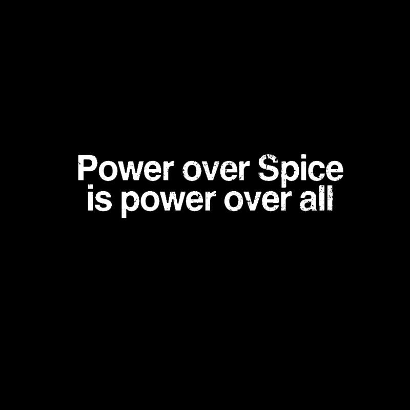 Power Over Spice Is Power Over All T-Shirt