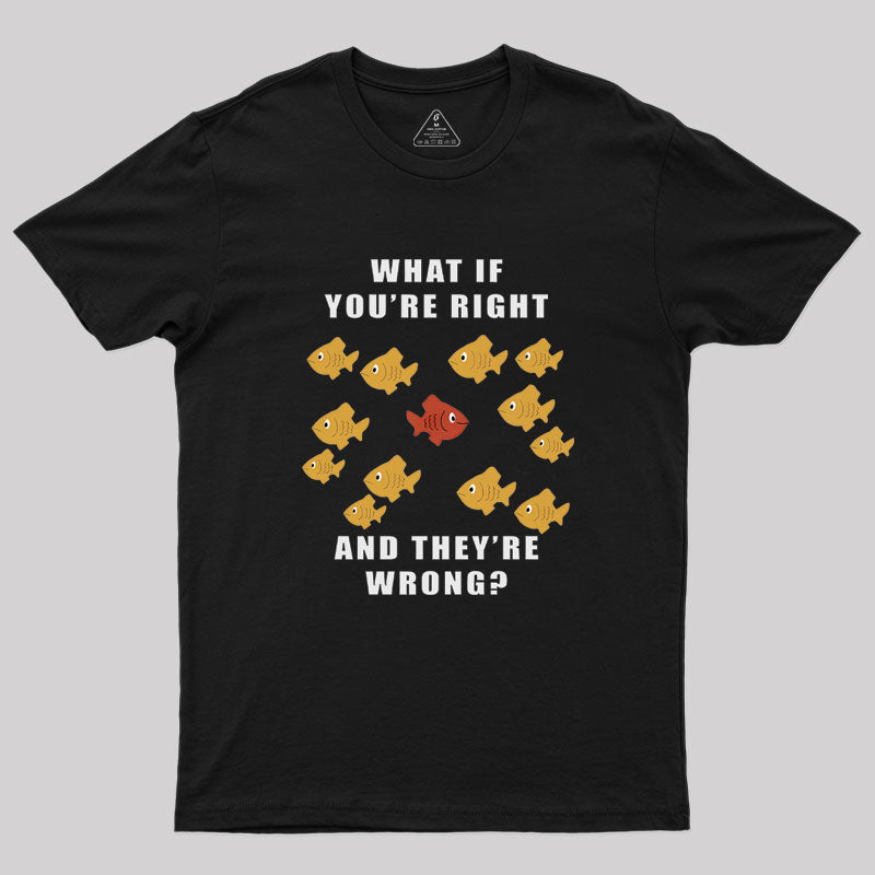 What If You're Right And They're Wrong Geek T-Shirt