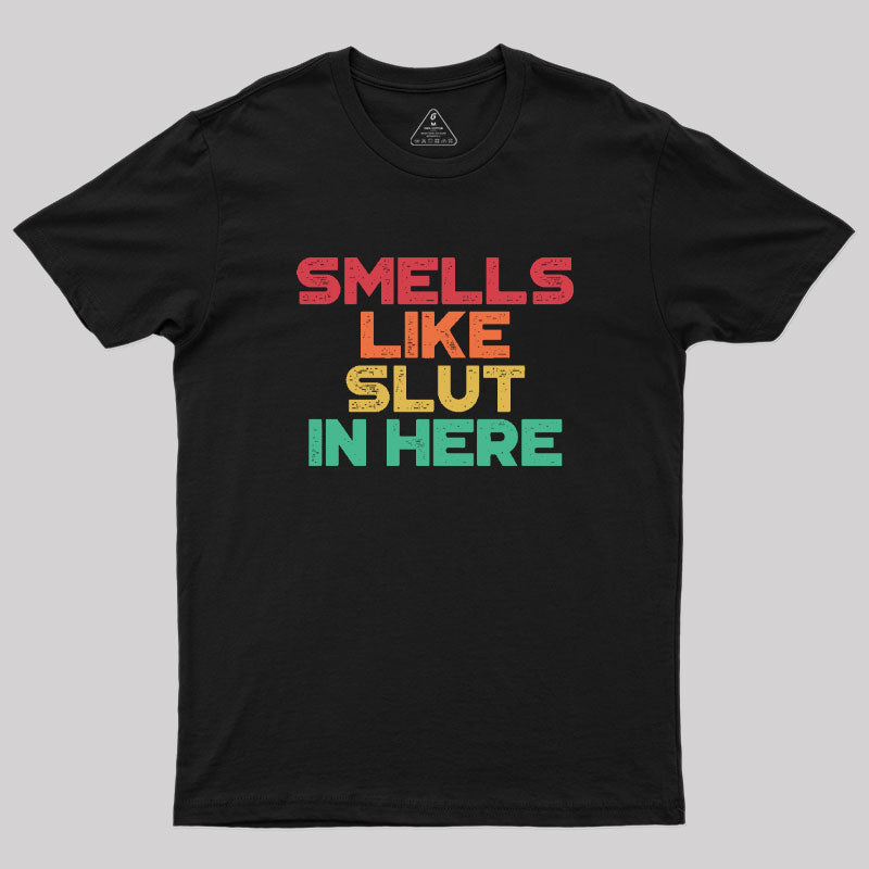 Smells Like Sl*t In Here Sunset Funny Geek T-Shirt