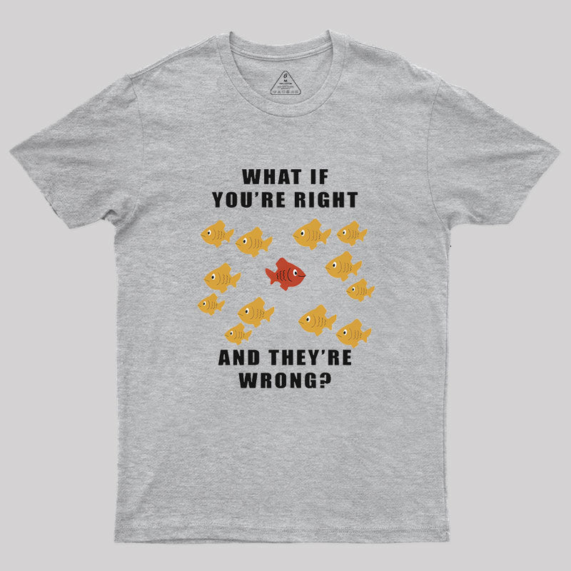 What If You're Right And They're Wrong Geek T-Shirt