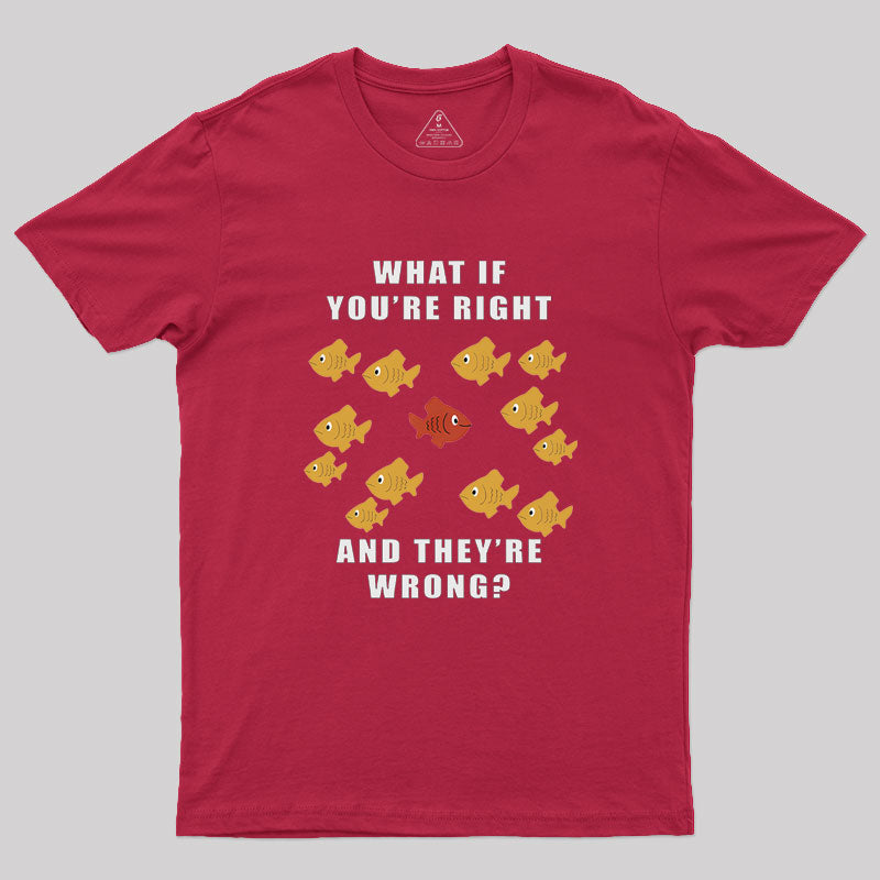 What If You're Right And They're Wrong Geek T-Shirt