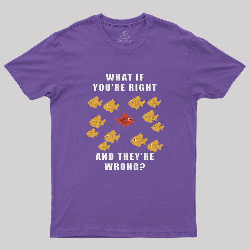 What If You're Right And They're Wrong Geek T-Shirt