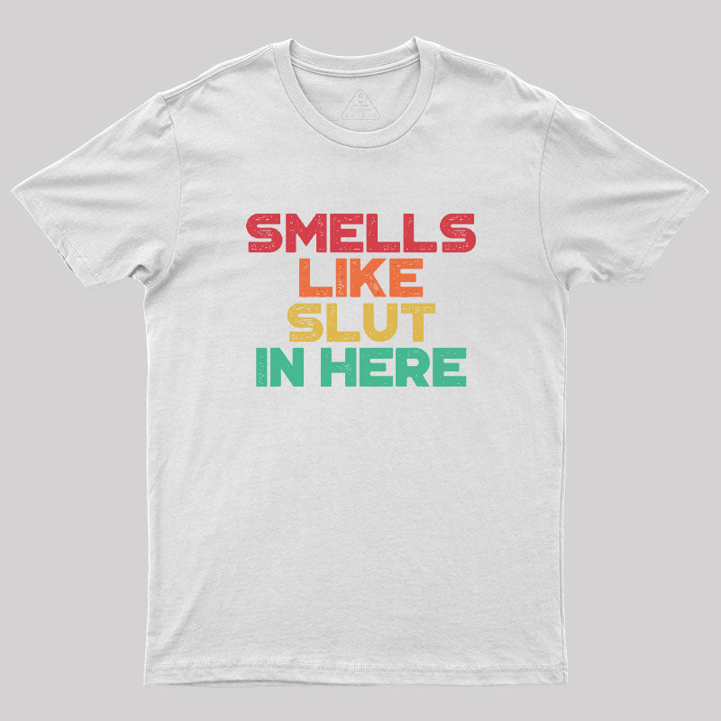 Smells Like Sl*t In Here Sunset Funny Geek T-Shirt