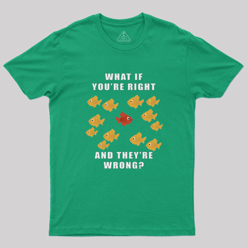 What If You're Right And They're Wrong Geek T-Shirt