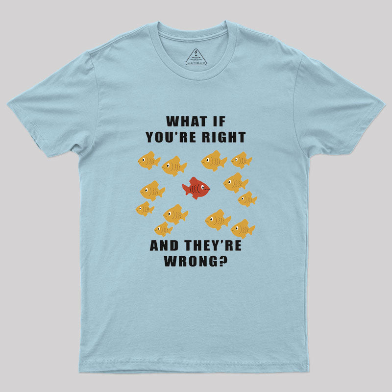 What If You're Right And They're Wrong Geek T-Shirt