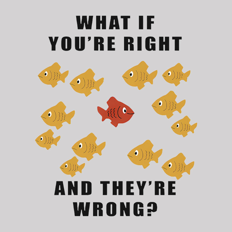 What If You're Right And They're Wrong Geek T-Shirt