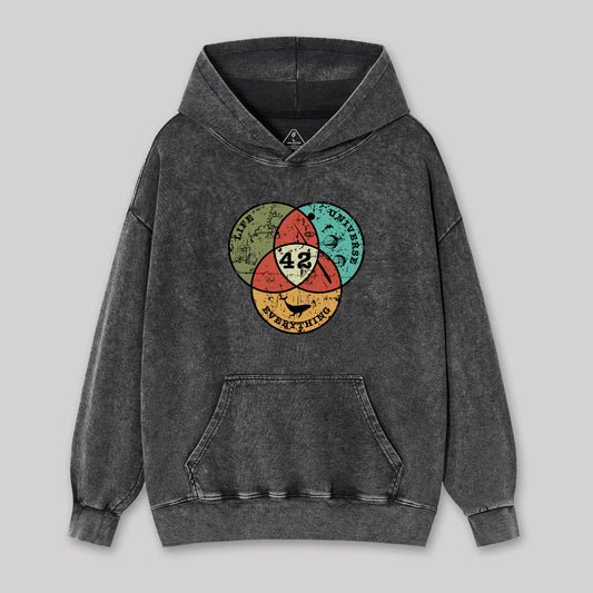 Life, the Universe & Everything Washed Hoodie