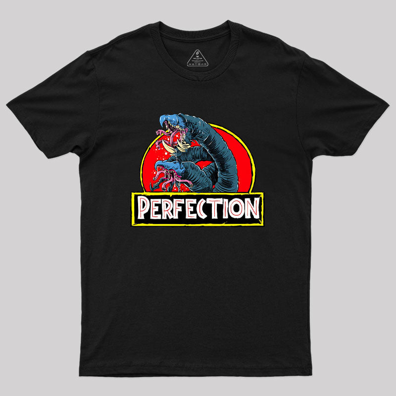 Perfection Geek T-Shirt