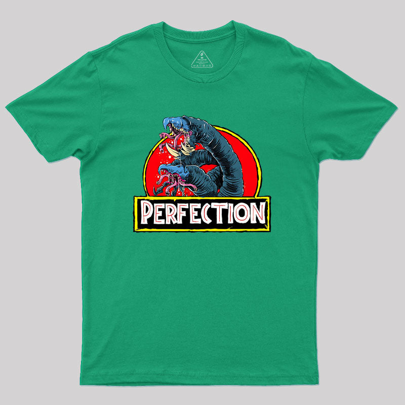 Perfection Geek T-Shirt