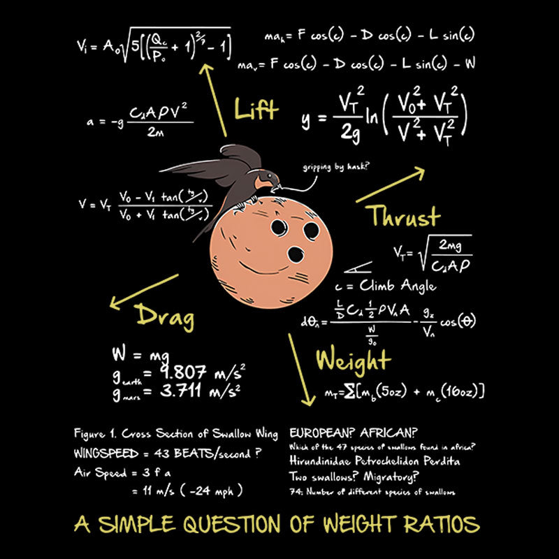 A Simple Question of Weight Ratios Geek T-Shirt