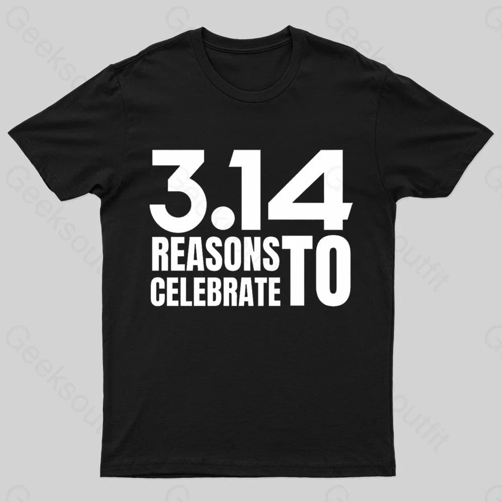 3.14 Reasons To Celebrate Nerd T-Shirt Black / S