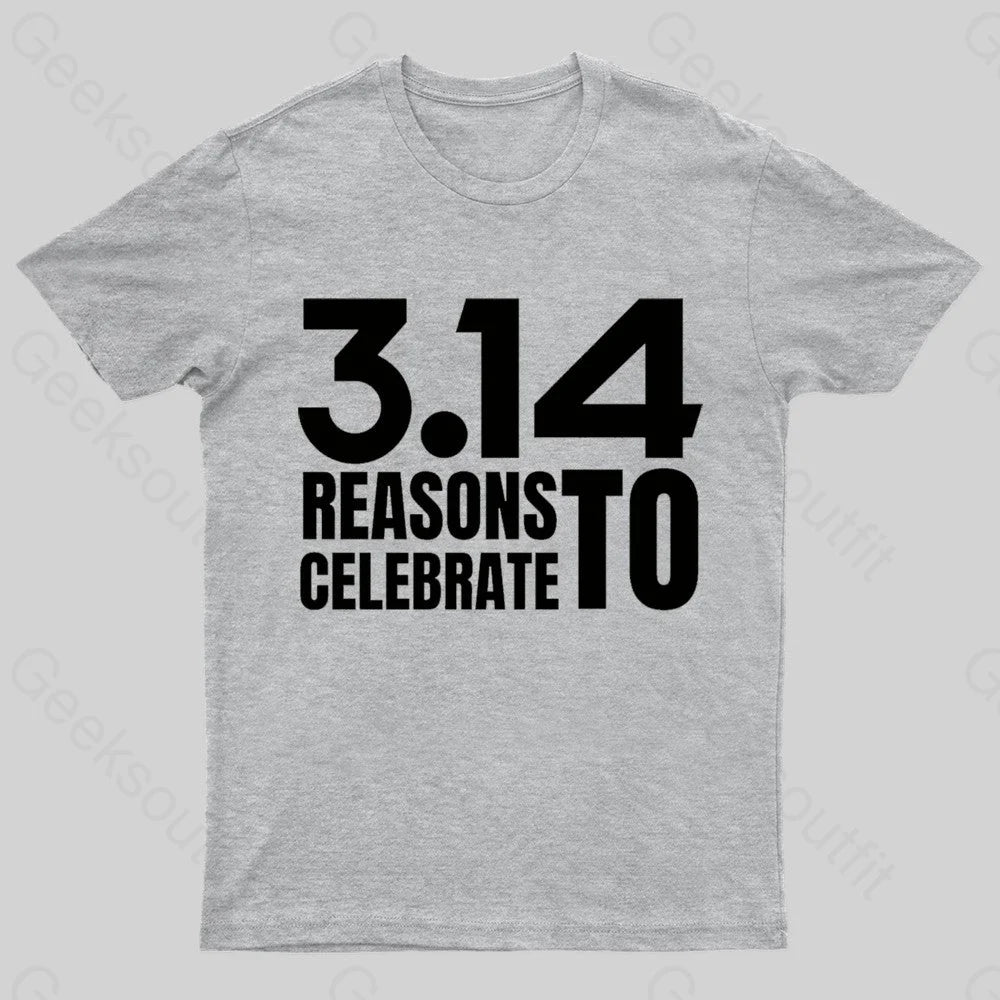 3.14 Reasons To Celebrate Nerd T-Shirt Grey / S