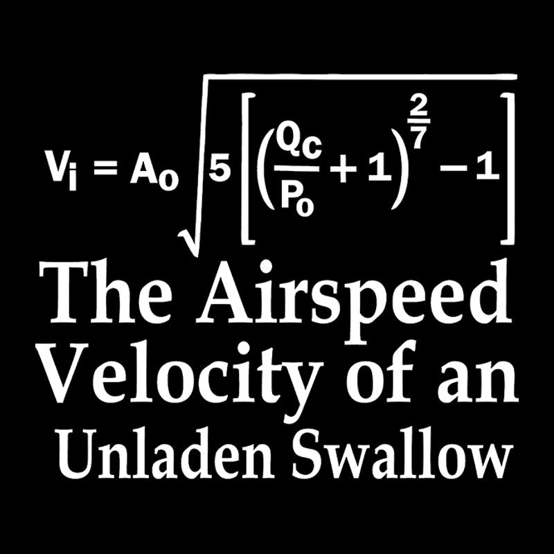 The Airspeed Velocity of an Unladen Swallow Geek T-Shirt