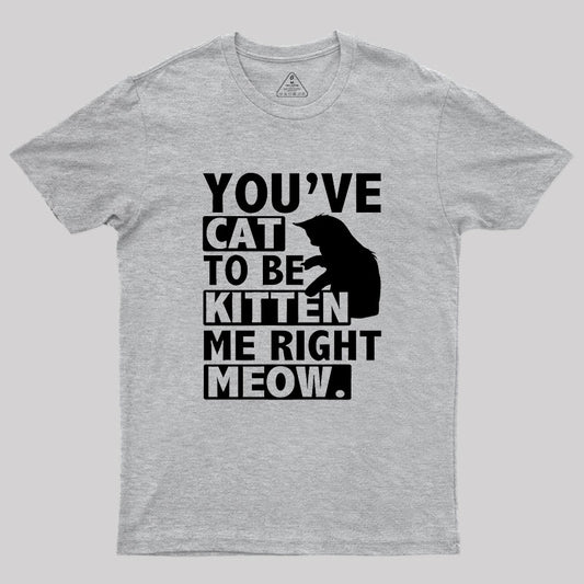 You've Cat To Be Kitten Me Right Meow Geek T-Shirt