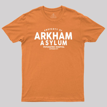 Arkham Asylum Psychiatric Hospital Geek T-Shirt