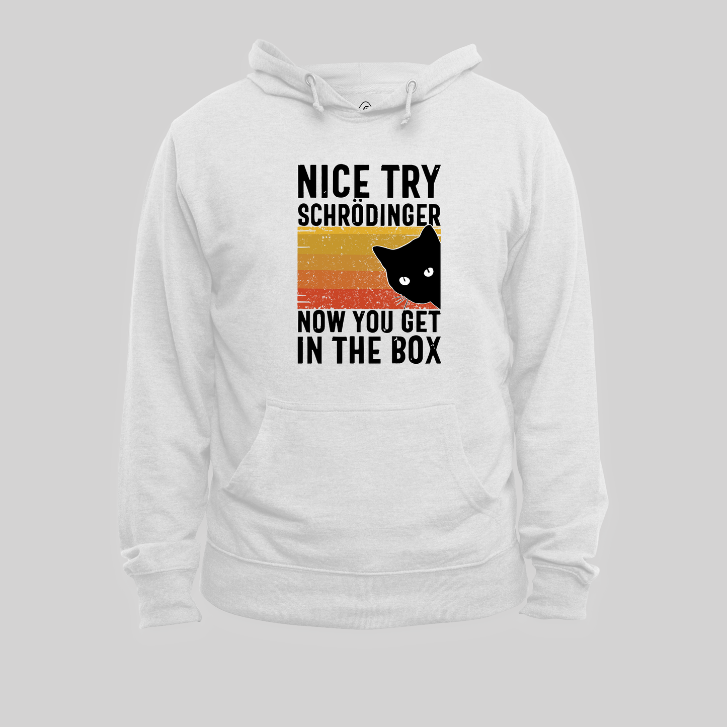 You Get Schrodinger's cat In The Box Hoodie