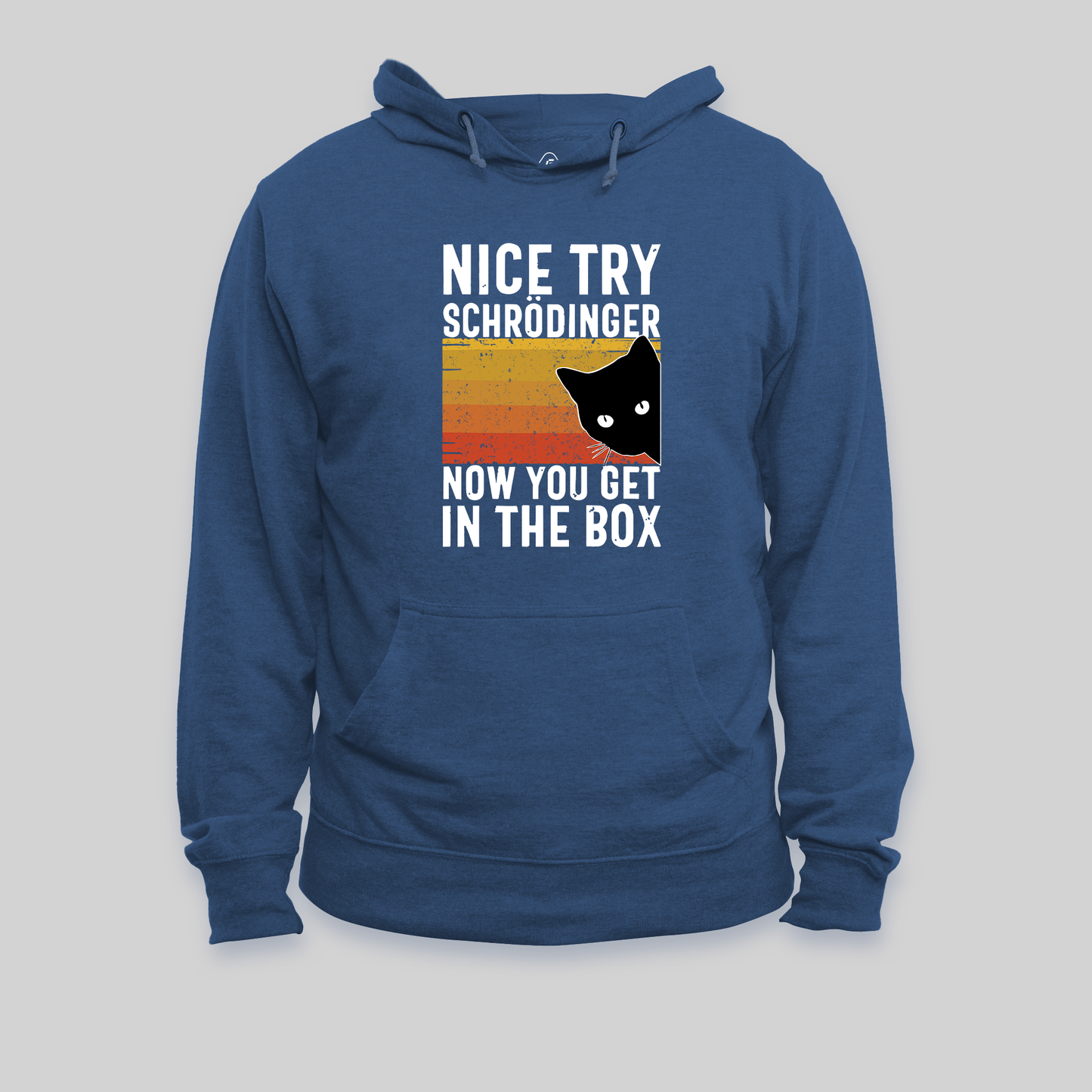 You Get Schrodinger's cat In The Box Hoodie