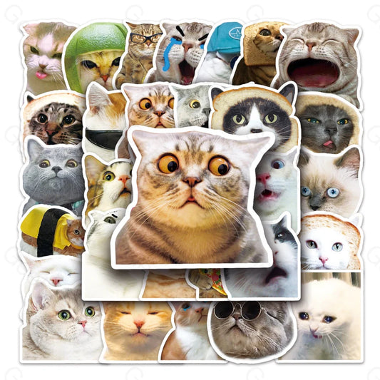 50 Internet Celebrity Cat Graffiti Computer Luggage Stickers