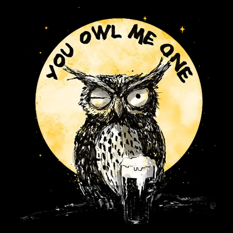 You Owl Me One Geek T-Shirt