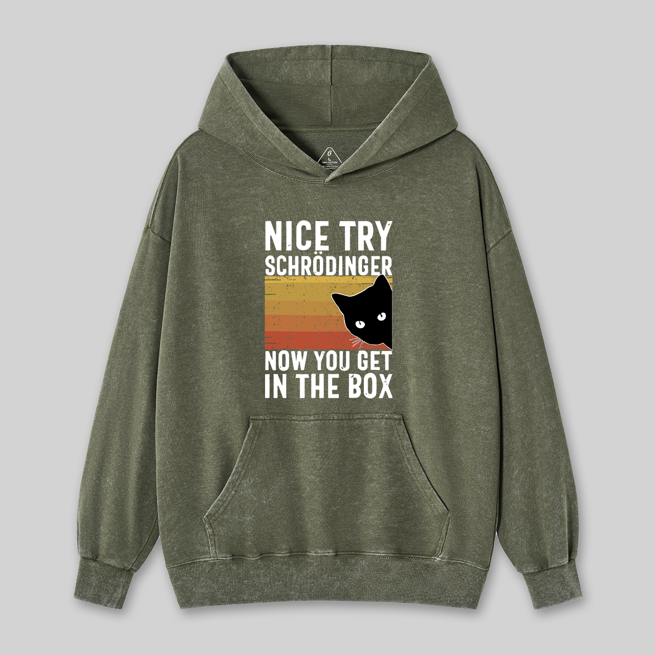 You Get Schrodinger's cat In The Box Nerd Washed Hoodie