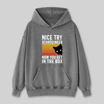 You Get Schrodinger's cat In The Box Nerd Washed Hoodie