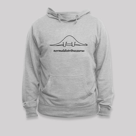 Normal Distribution Dinosaur Geek Hoodie