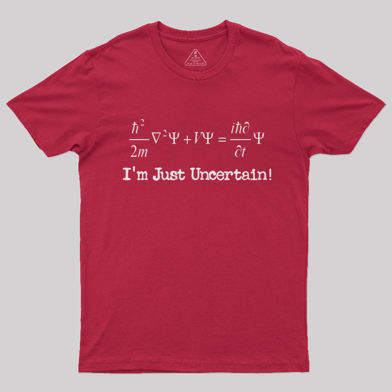 Geeksoutfit Physics Nerd T Shirt for Sale online