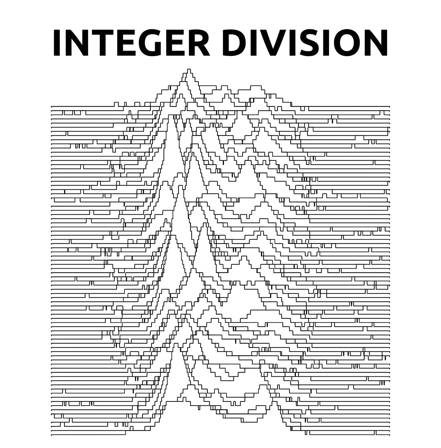 Integer Division T-Shirt