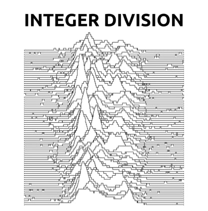 Integer Division T-Shirt