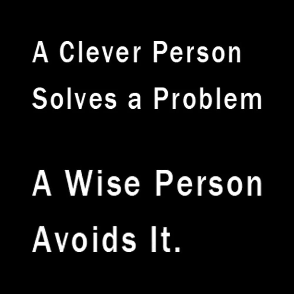 A Clever Person Solves A Problem Wise Avoids It Geek T-Shirt