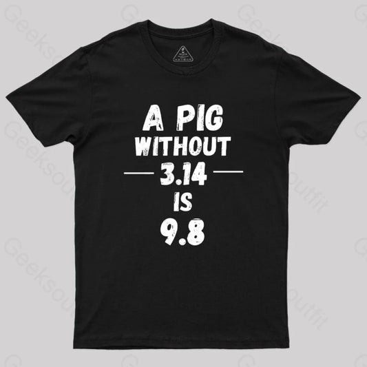 A Pig Without 3.14 Is 9.8 G T-Shirt Black / S