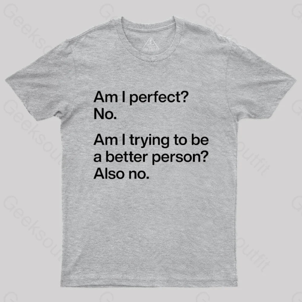 Am I Perfect No Geek T-Shirt Grey / S