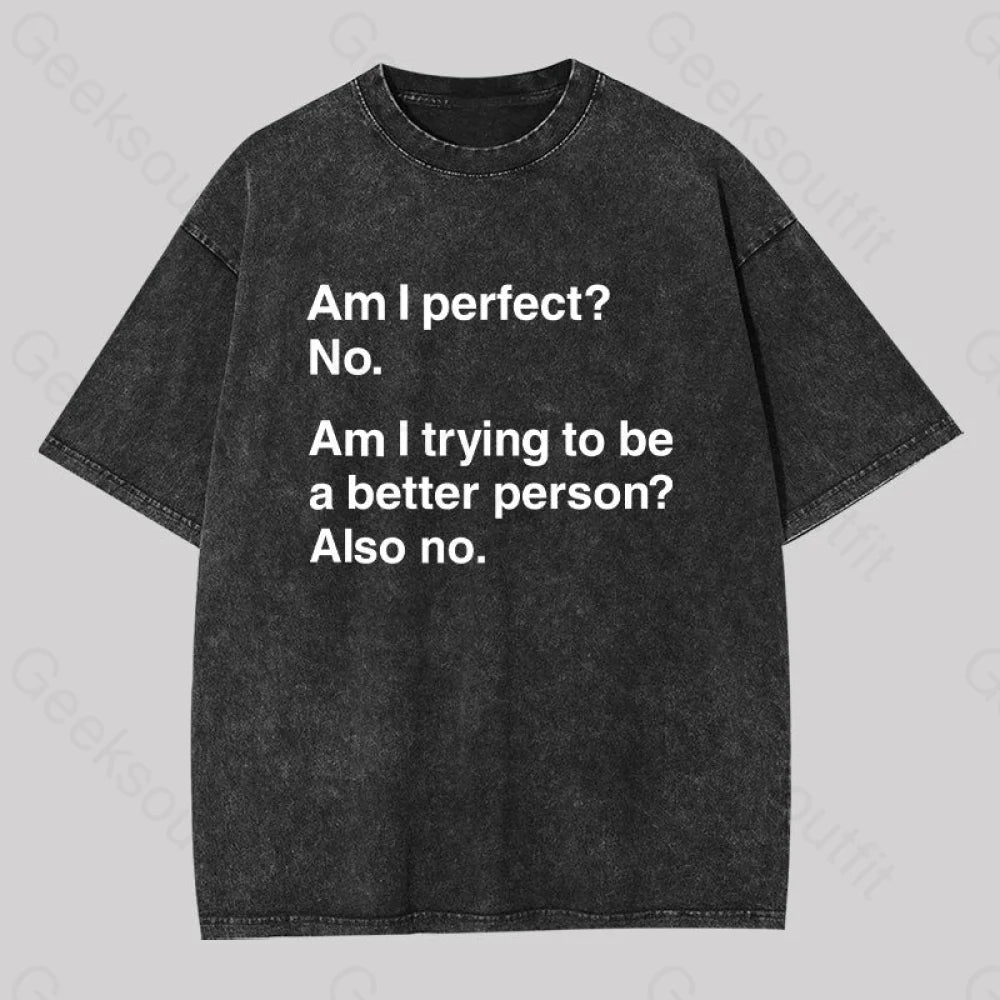 Am I Perfect No Washed T-Shirt Black / S